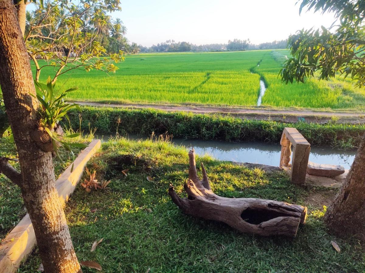 Village Mango Resort Yala Tissamaharama Exteriér fotografie