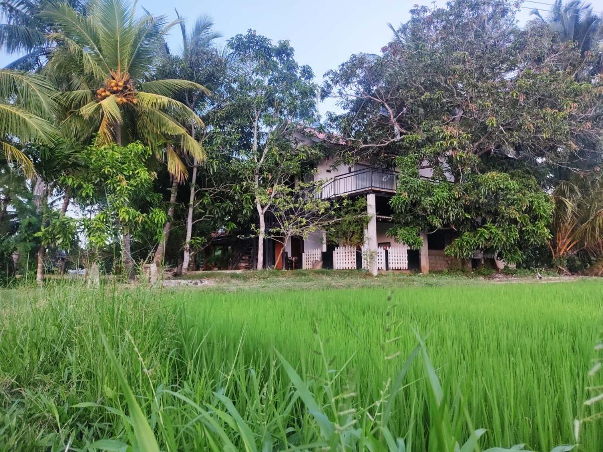 Village Mango Resort Yala Tissamaharama Exteriér fotografie