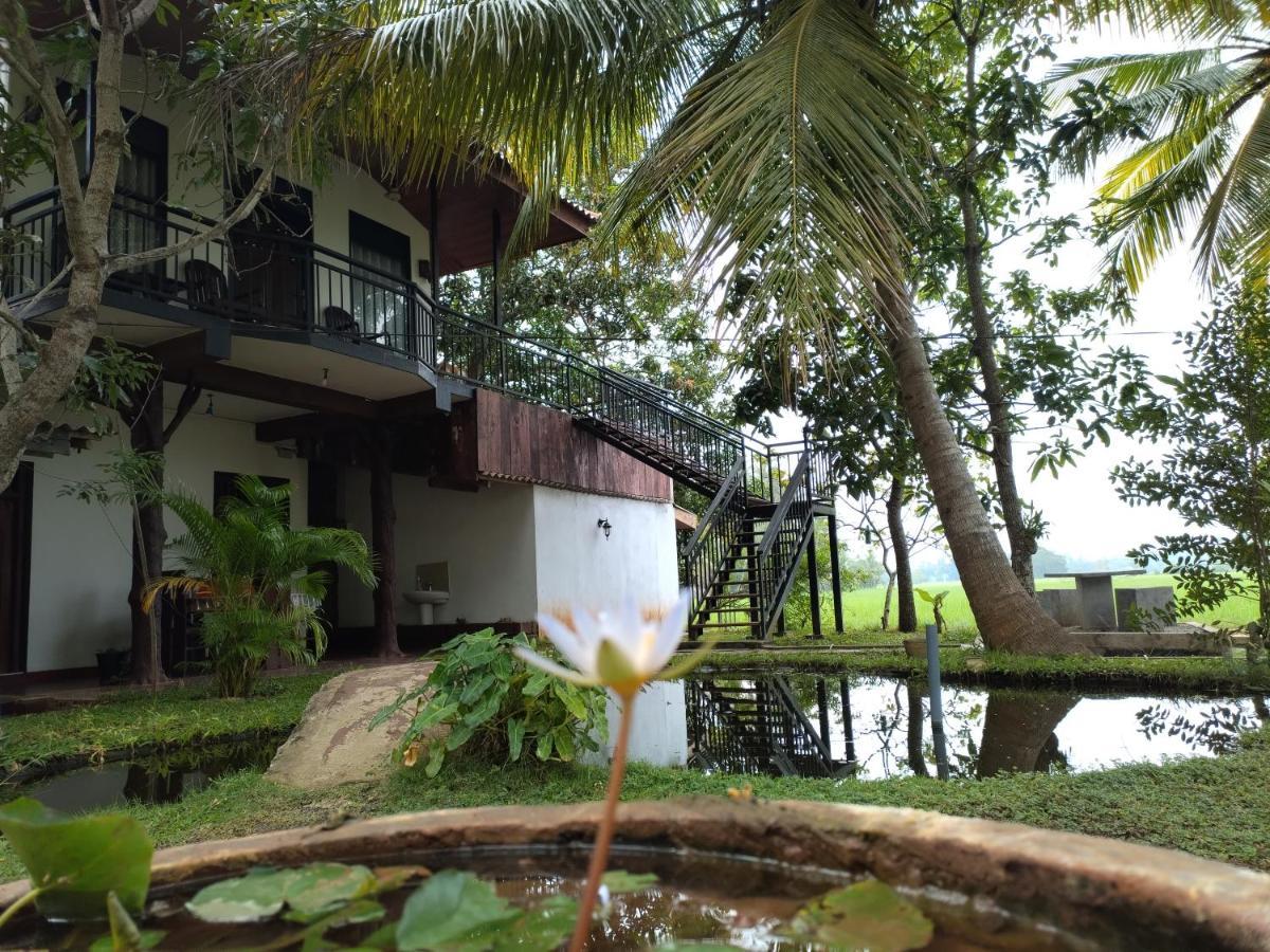 Village Mango Resort Yala Tissamaharama Exteriér fotografie