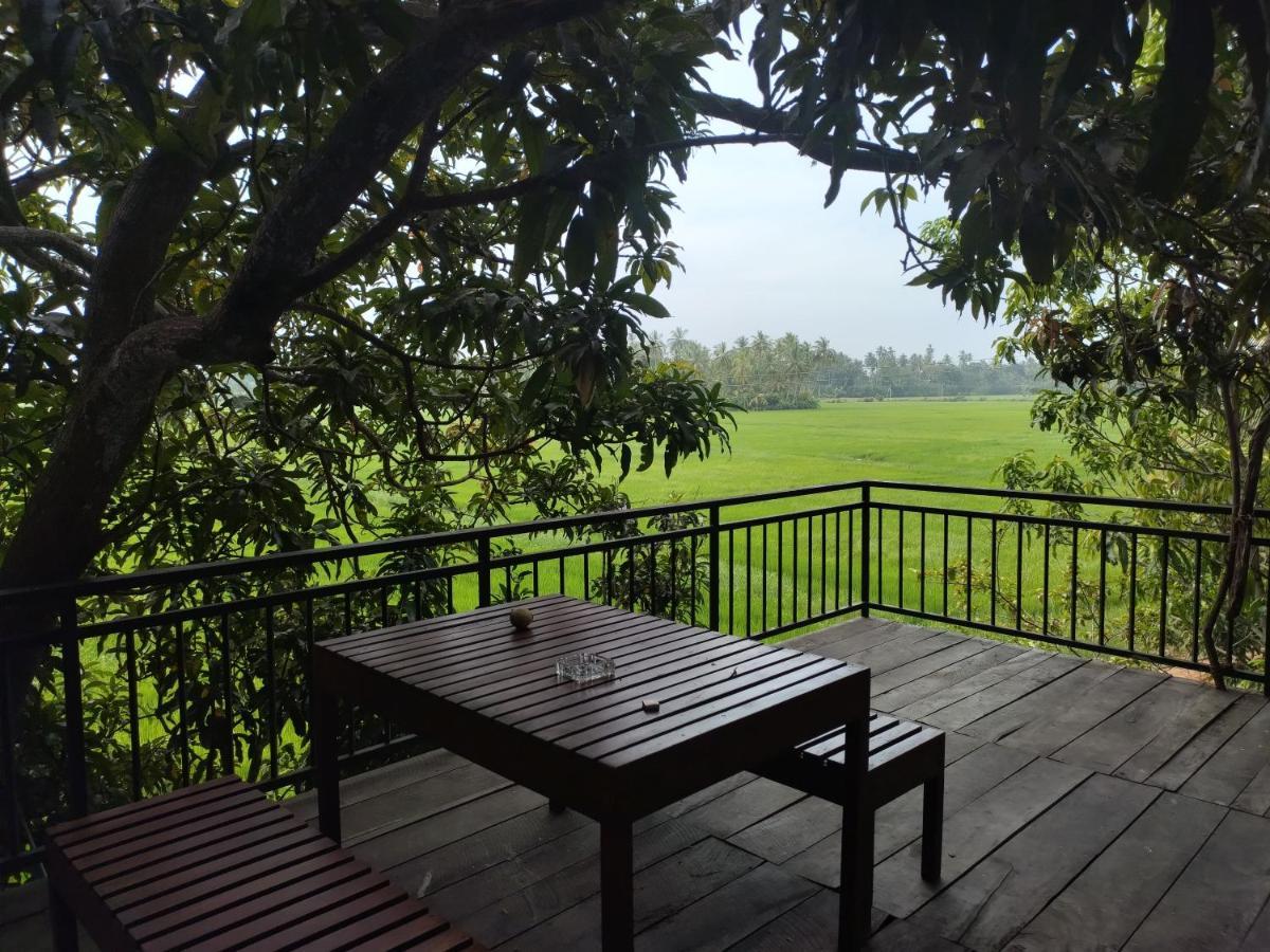 Village Mango Resort Yala Tissamaharama Exteriér fotografie