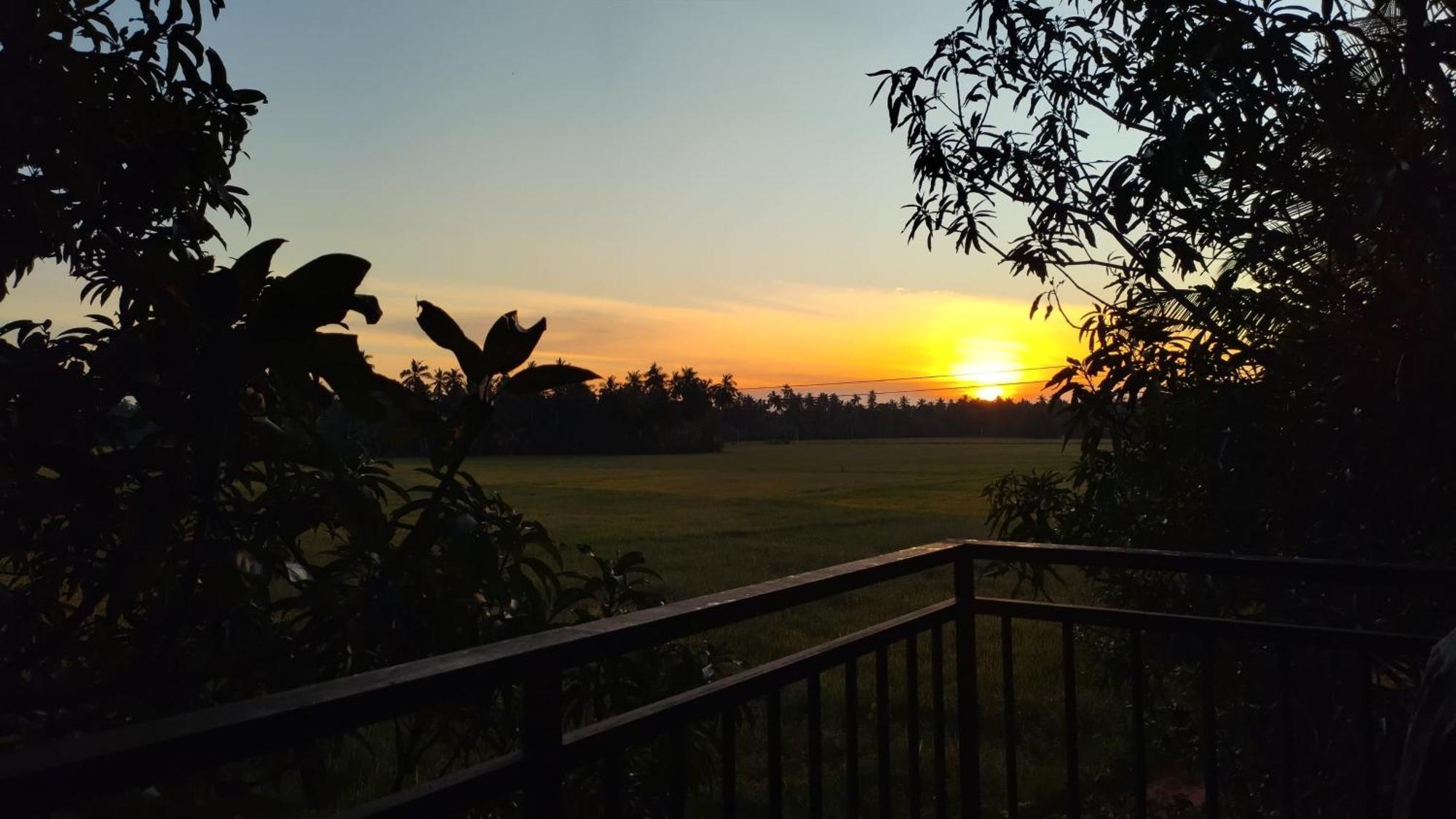 Village Mango Resort Yala Tissamaharama Exteriér fotografie